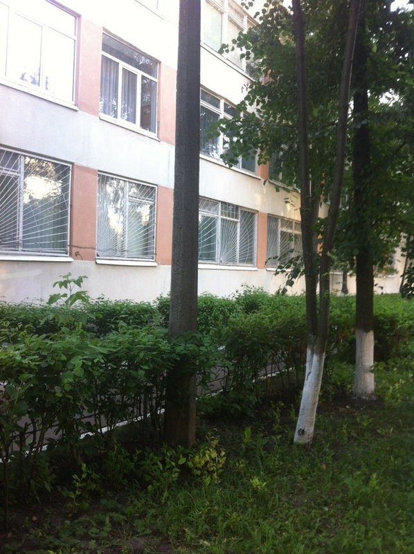 Гудов школа 132. Школа 132 ул свободы. Школа 132 Харьков. Ленинском просп 132 школа. Школа 132 Минск.